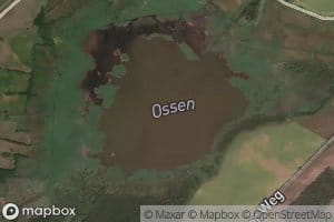 Ossen