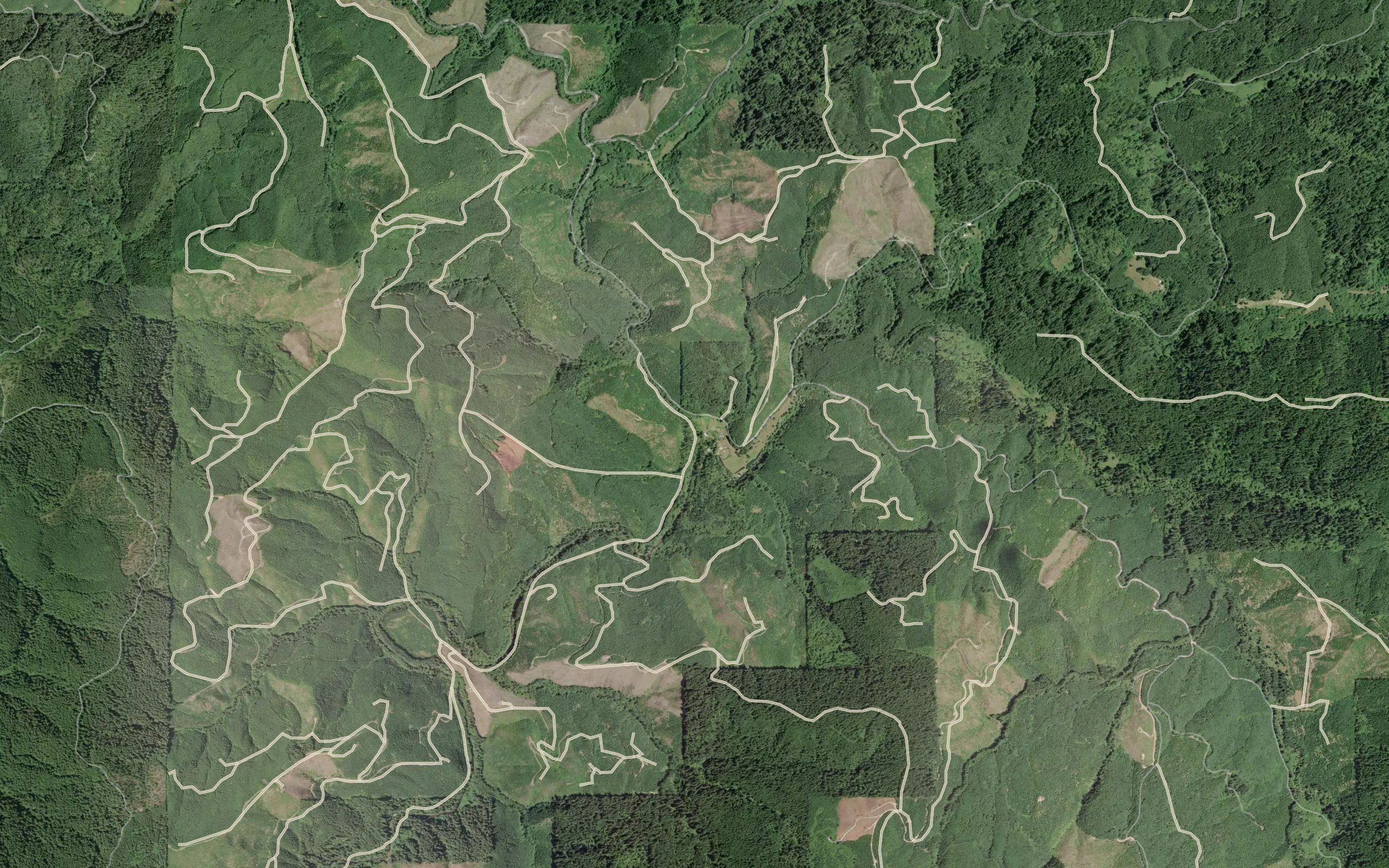 Meadow Creek