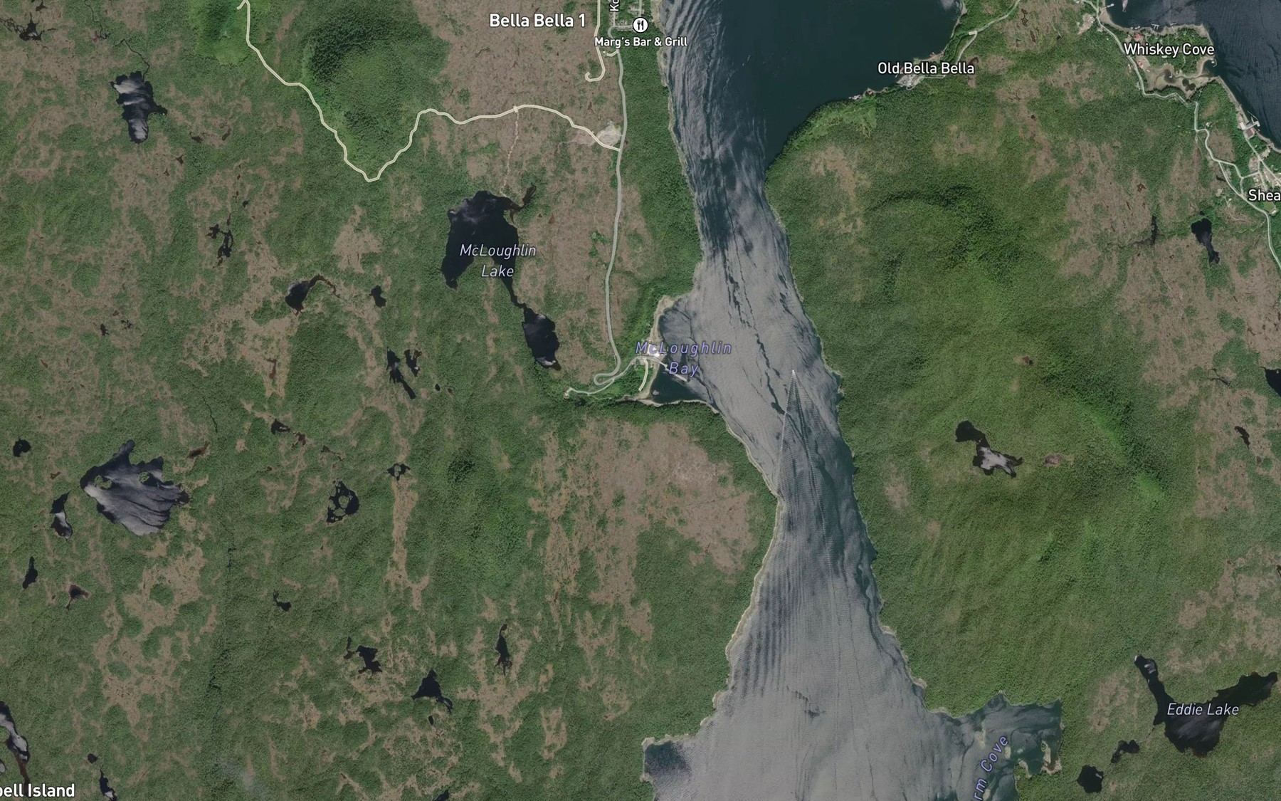 Satellite map of the McLoughlin Creek