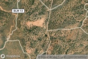 Pine Spring