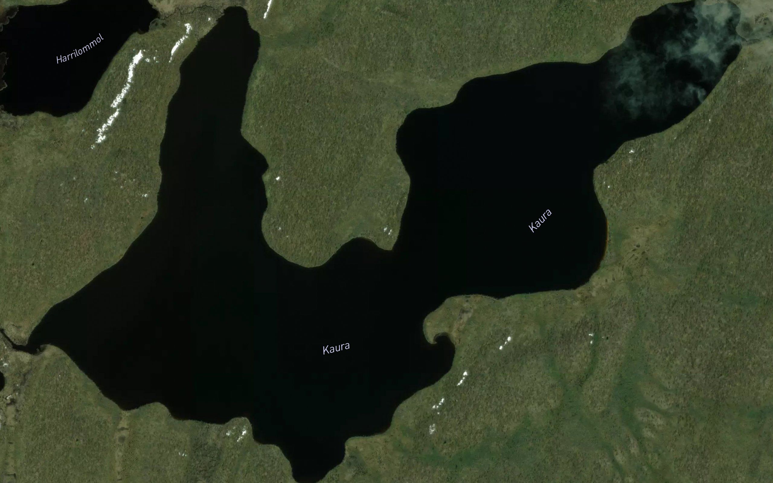 Kaura