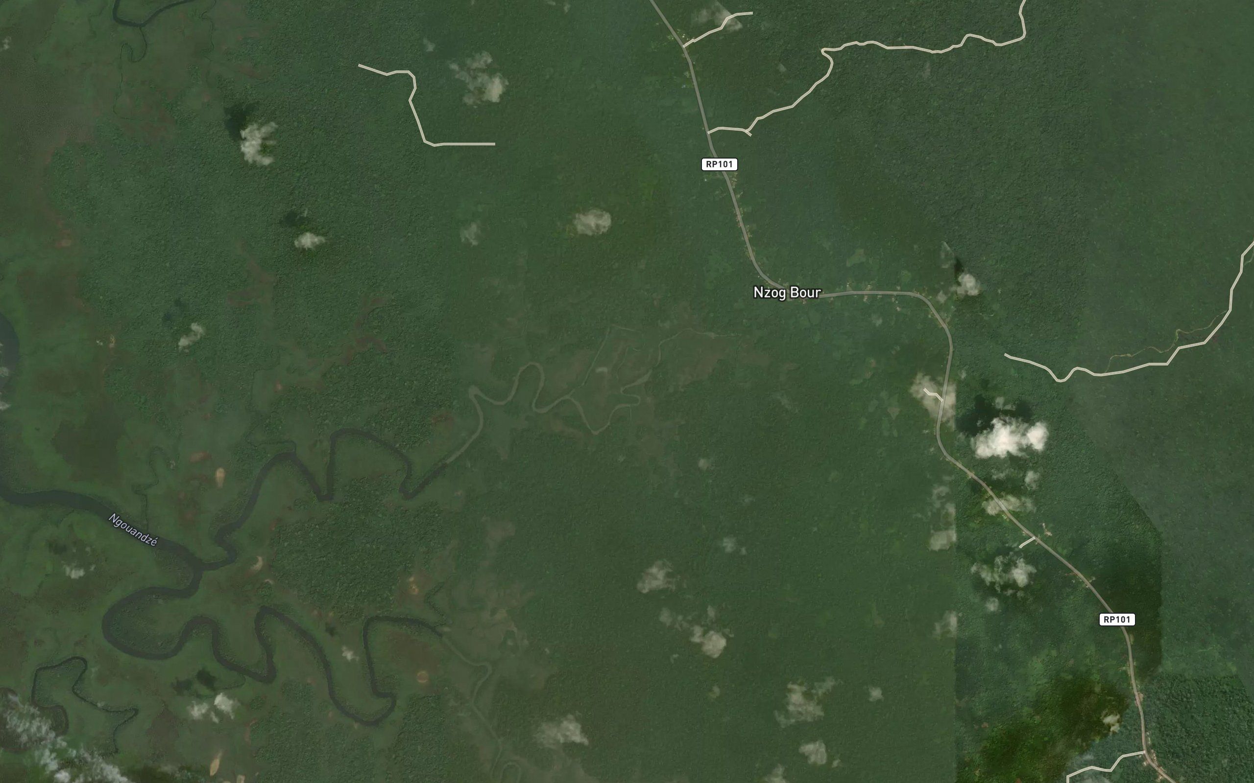 Ngouanie