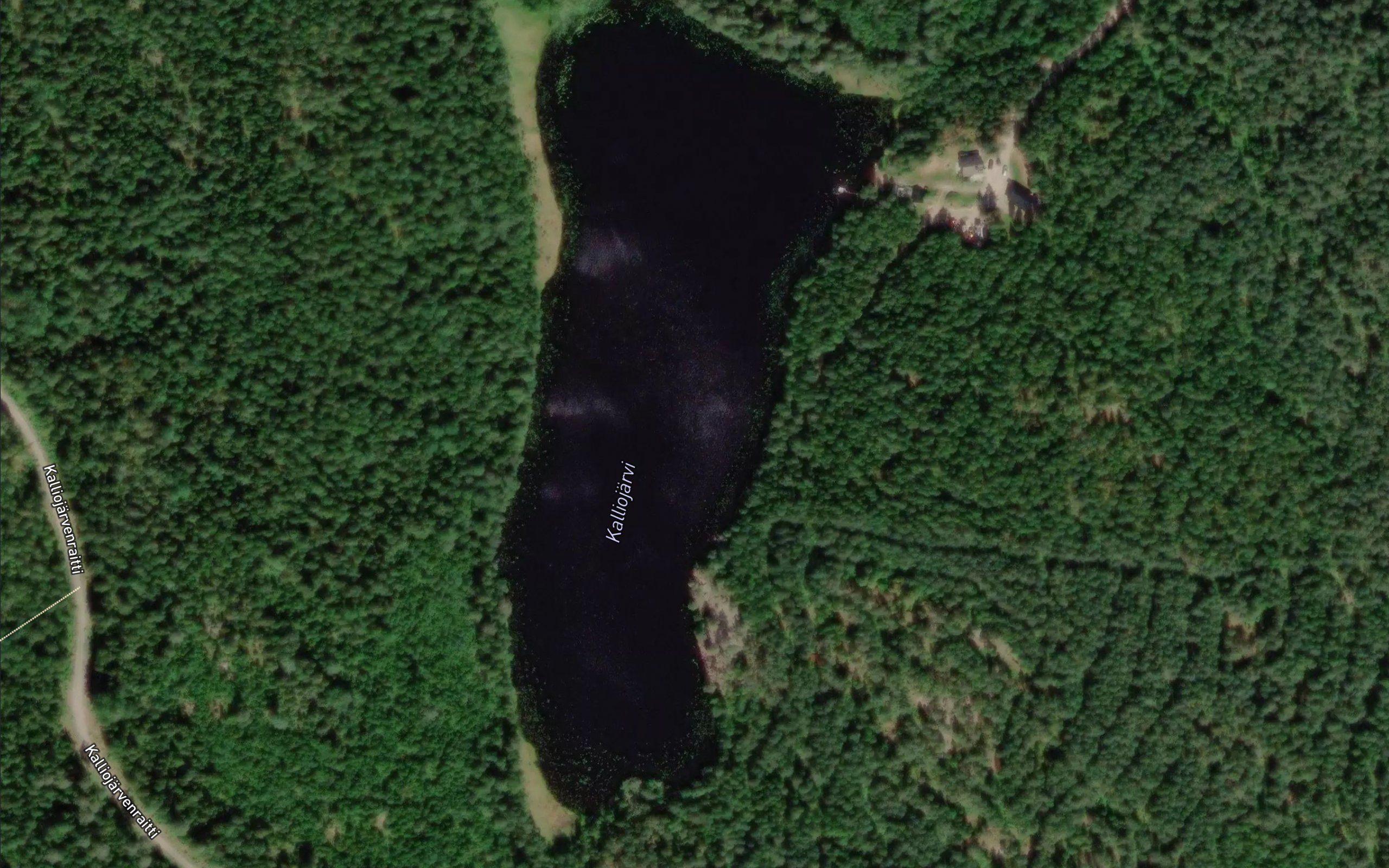 Kalliojarvi