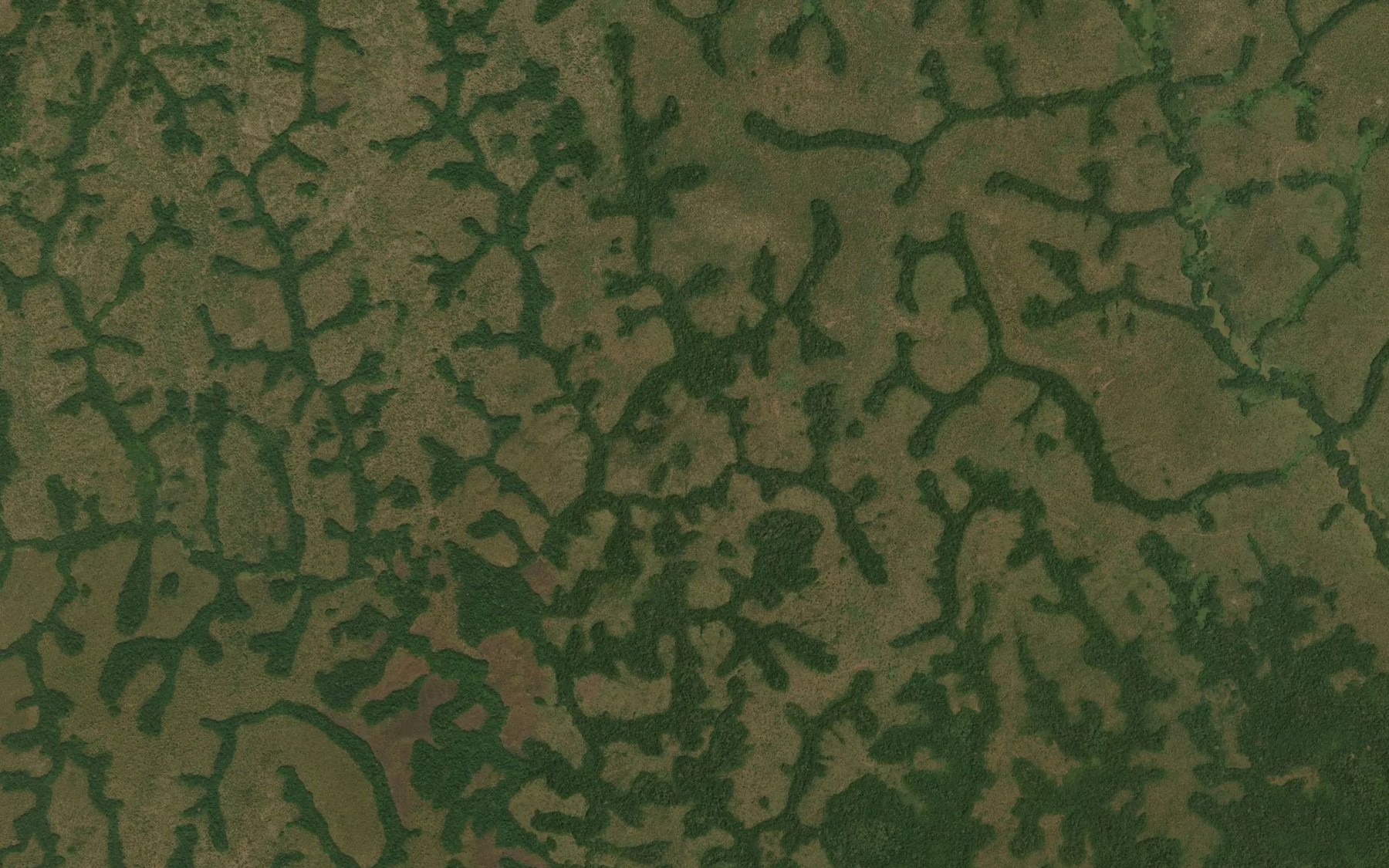 Satellite map of the Nogoun