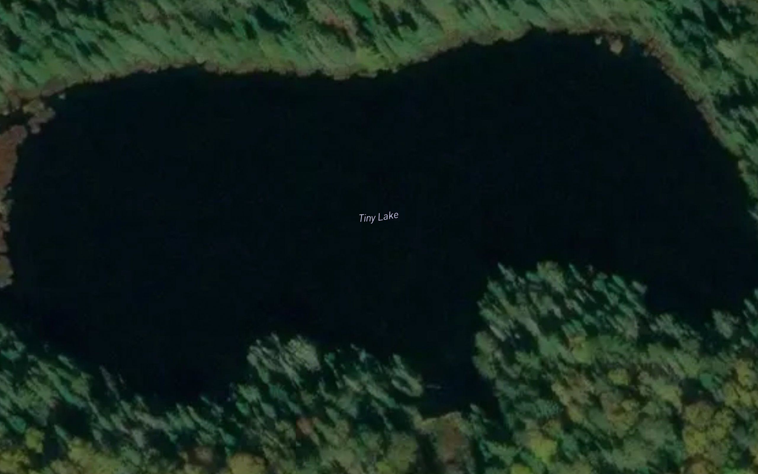Tiny Lake