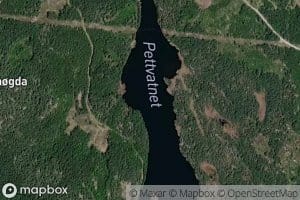 Pettvatnet