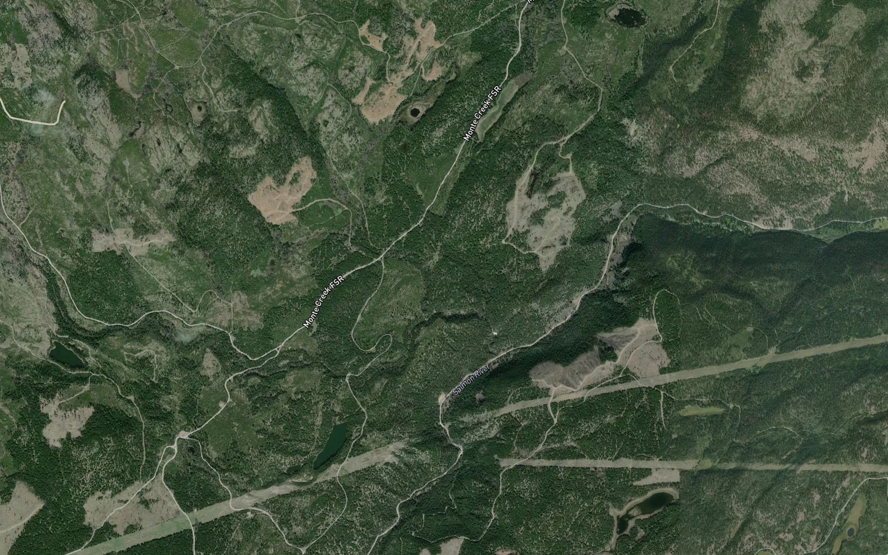 Satellite map of the Weyman Creek
