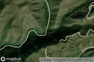Mahogany Spring Branch