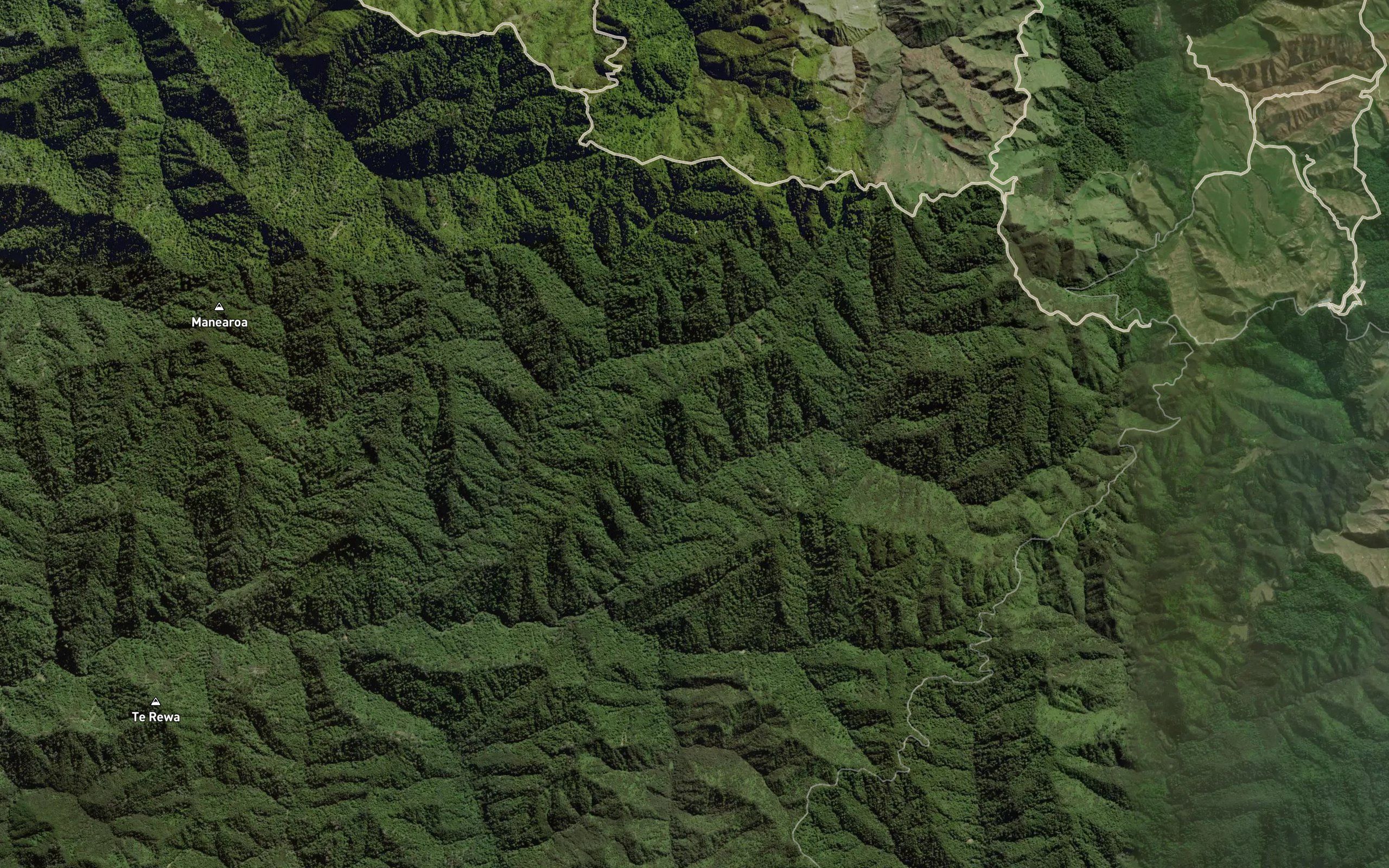Piraruhe Stream