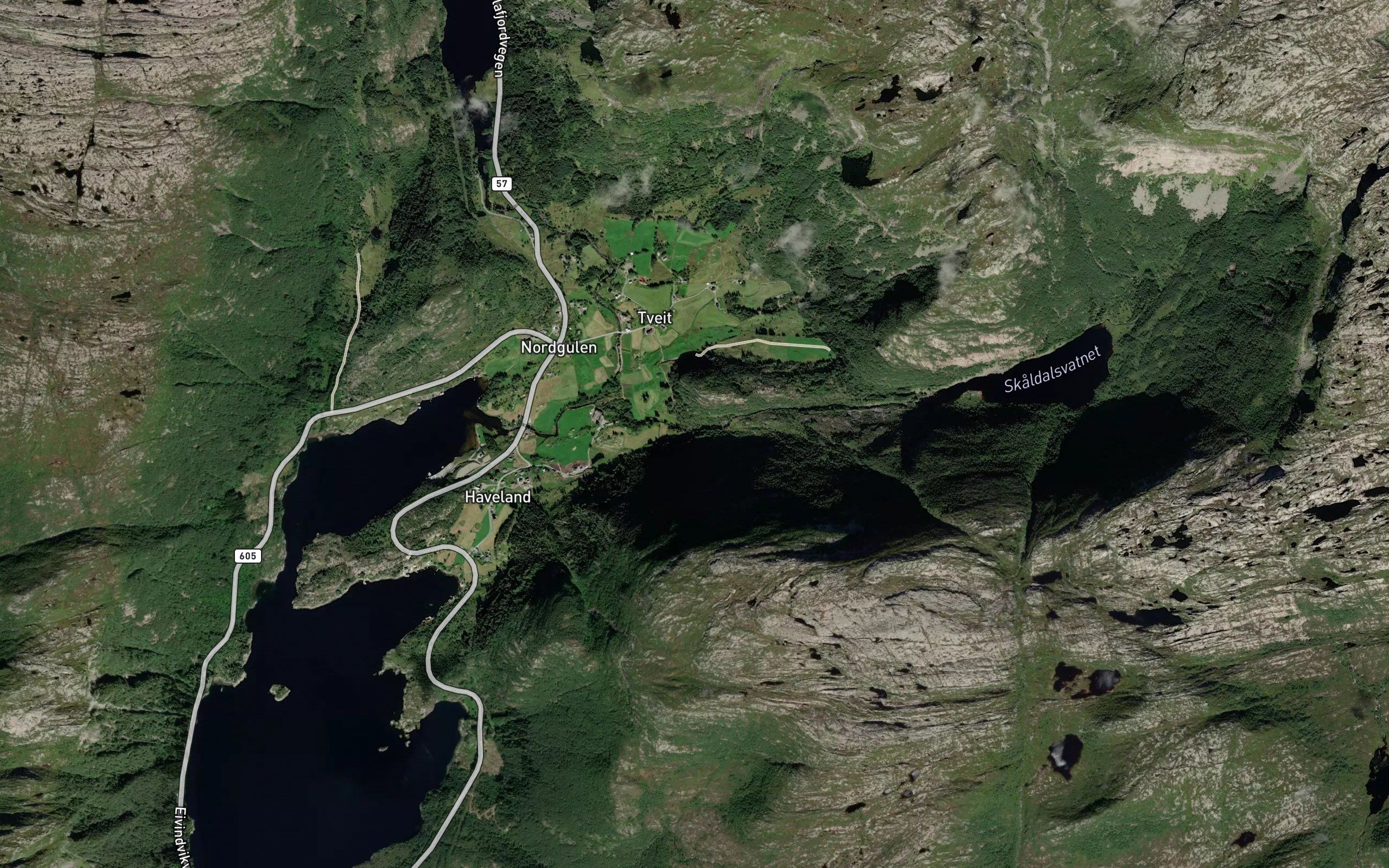 Skaldalselva