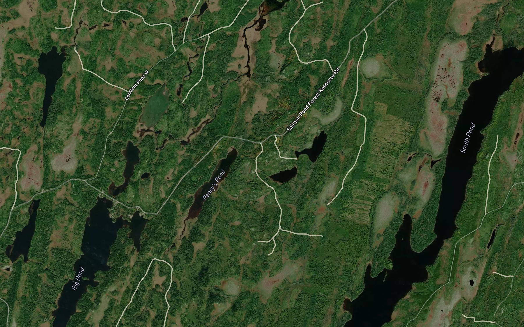 Satellite map of the Penny's Pond
