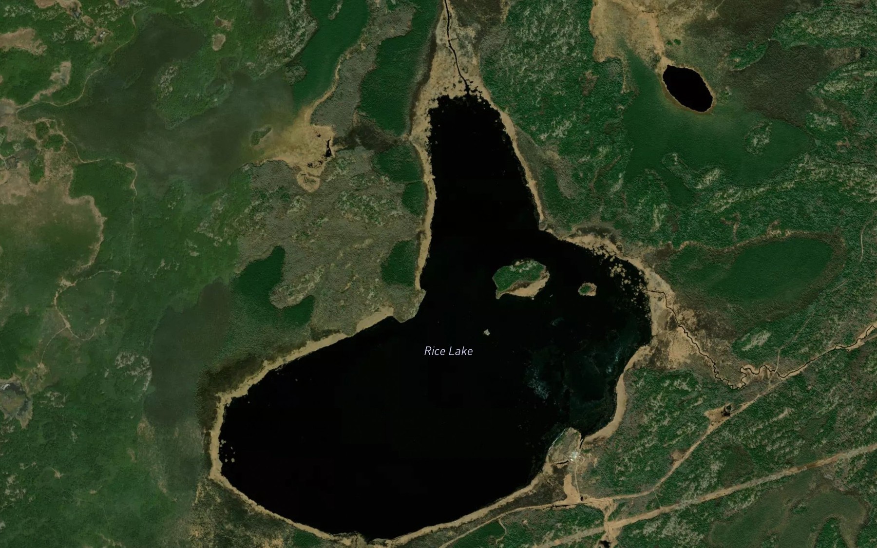 Satellite map of the Rice Lake