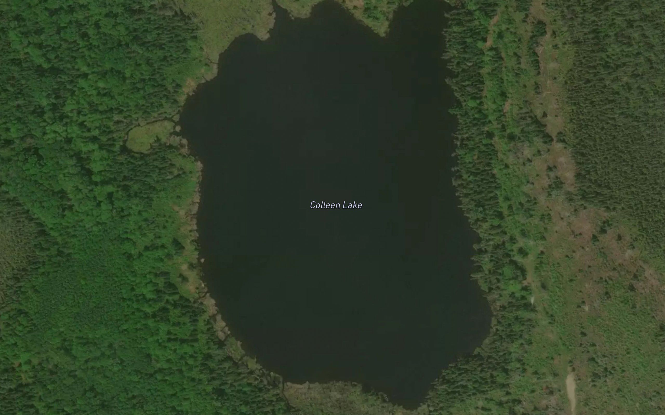Colleen Lake