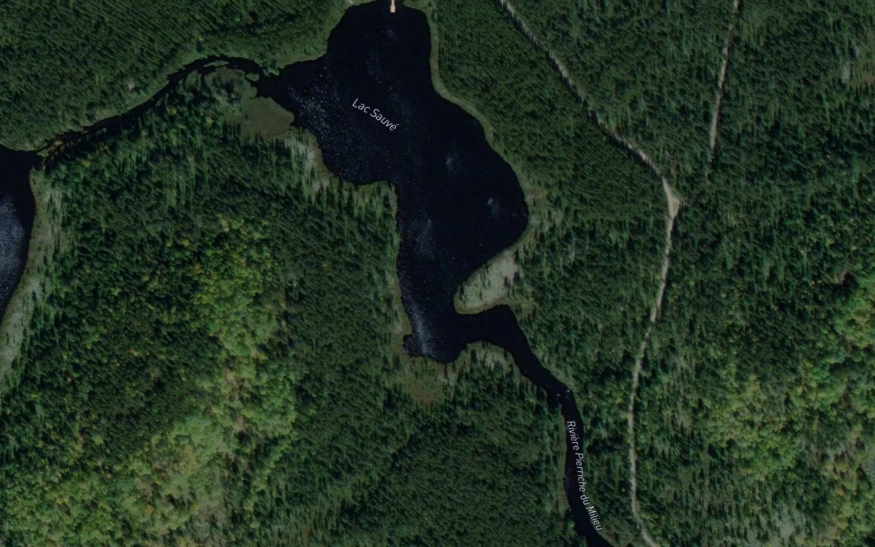 Satellite map of the Lac Sauve