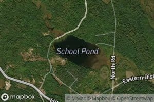 School Pond