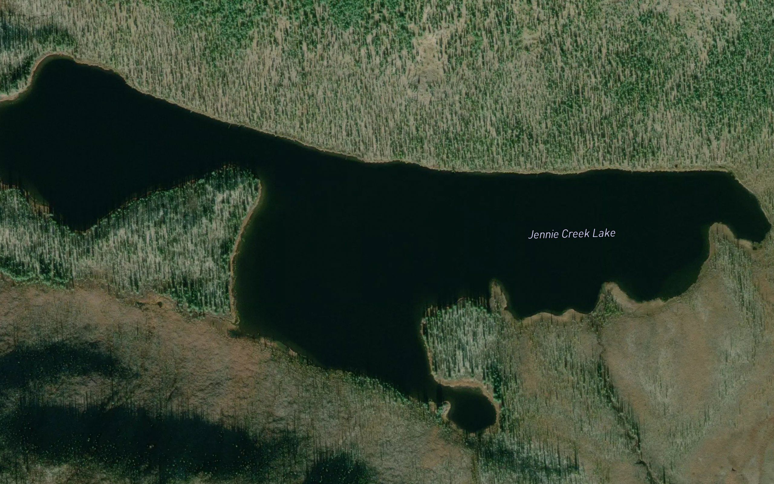Jennie Creek Lake