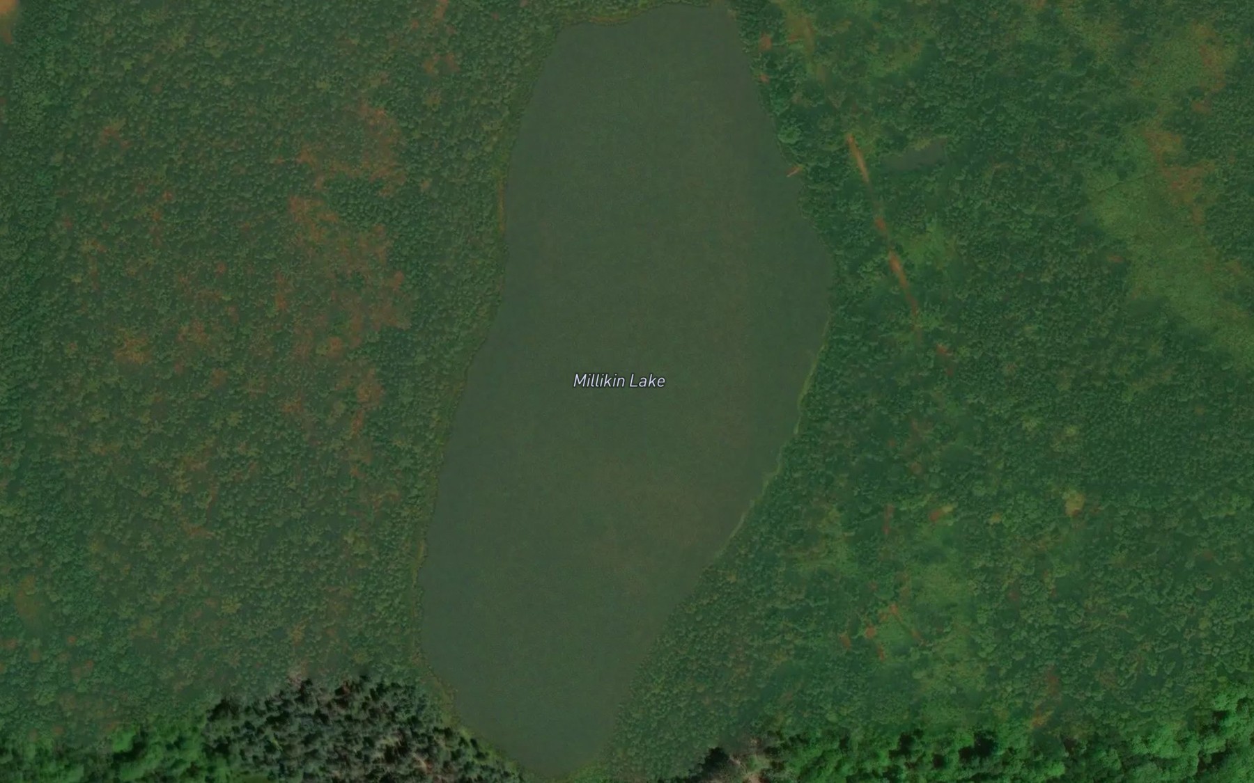 Satellite map of the Millikin Lake