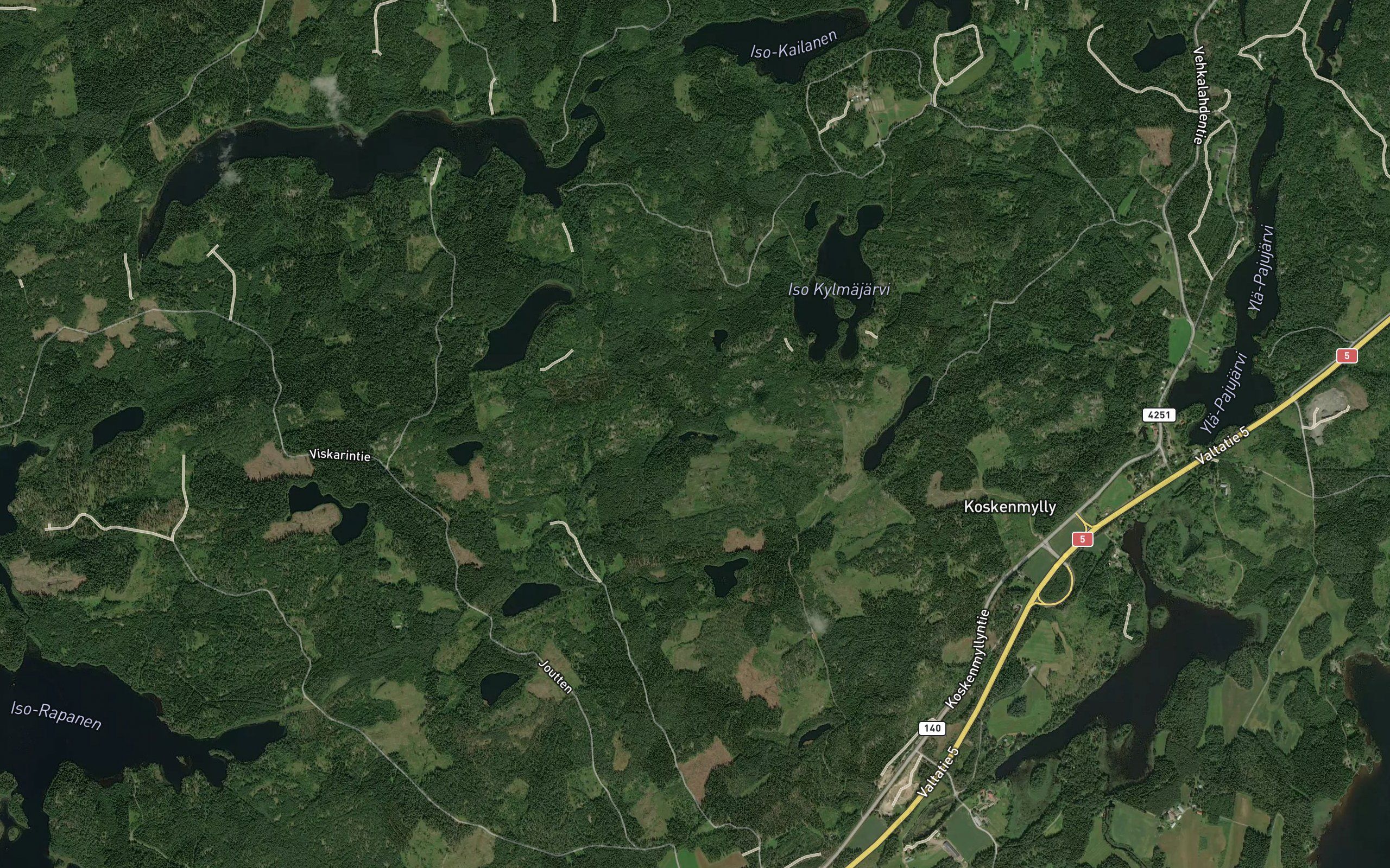 Koivulampi