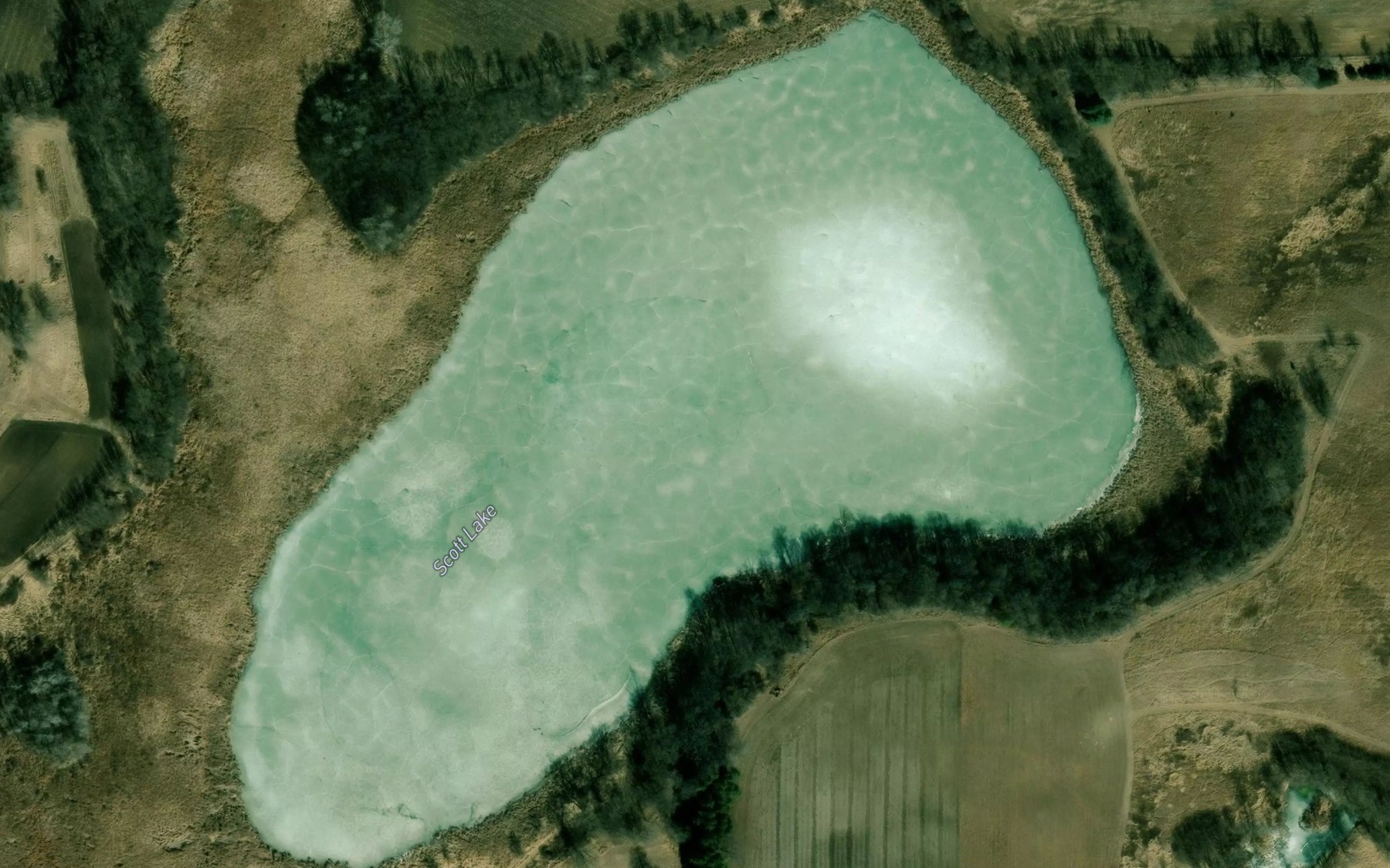 Satellite map of the Scott Lake