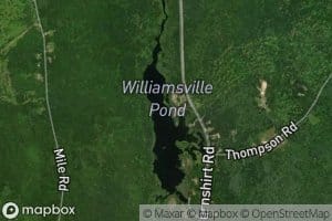 Williamsville Pond