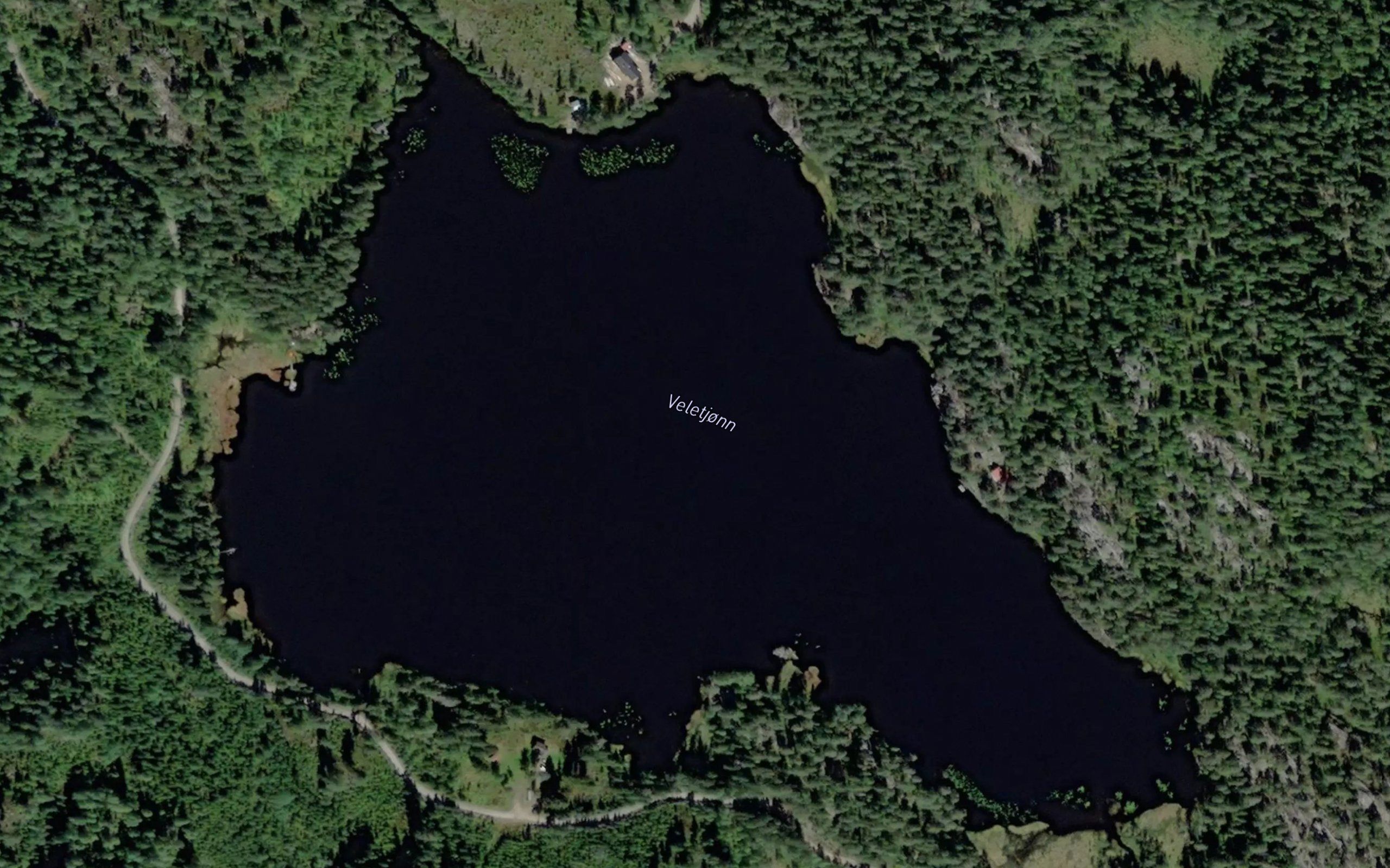 Veletjorn