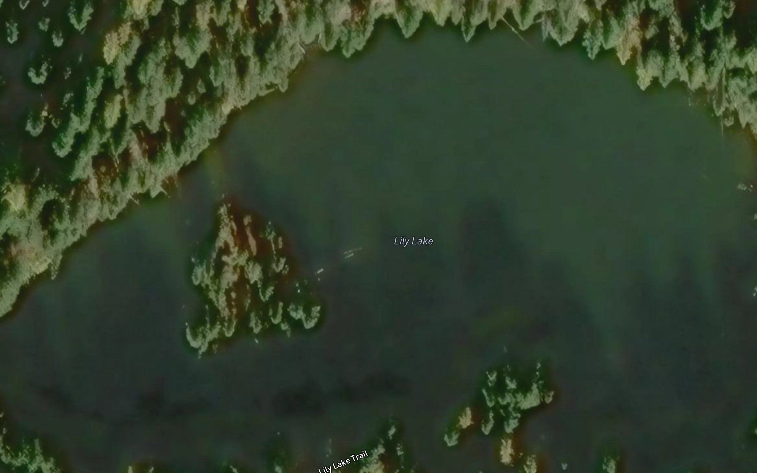 Lily Lake