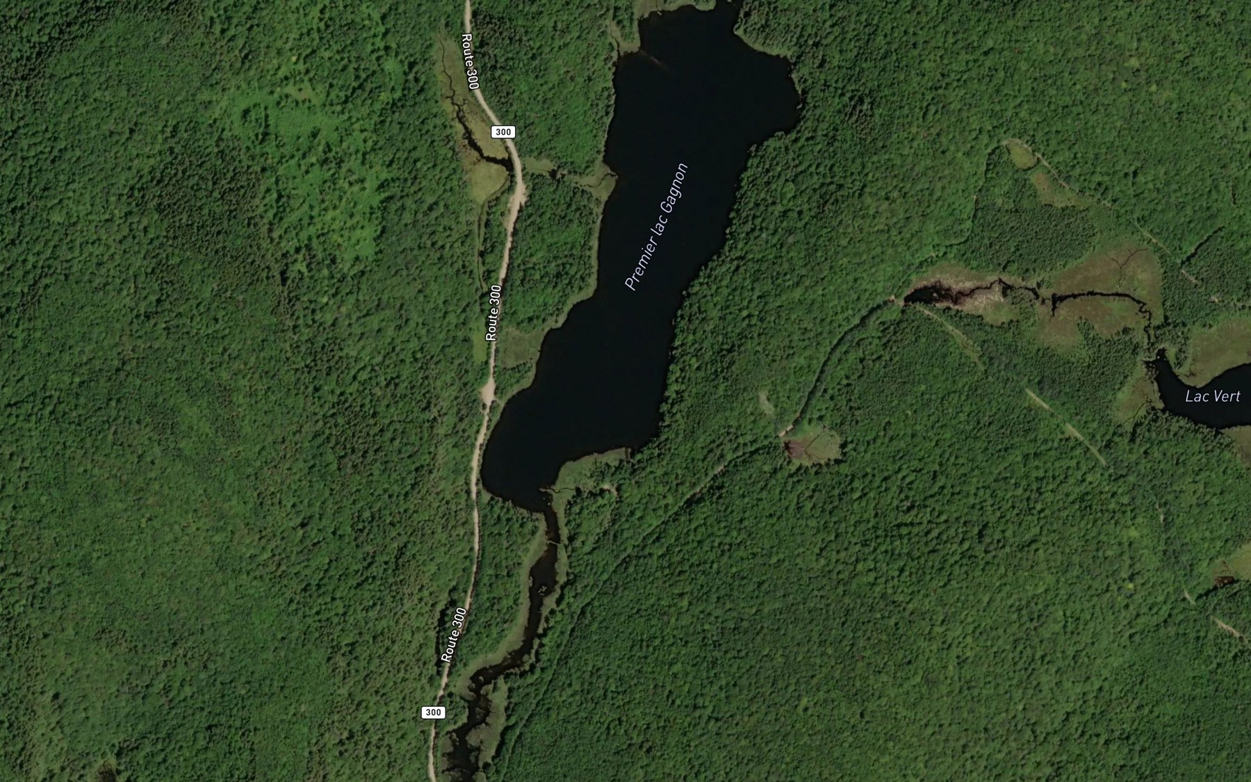 Satellite map of the Premier lac Gagnon