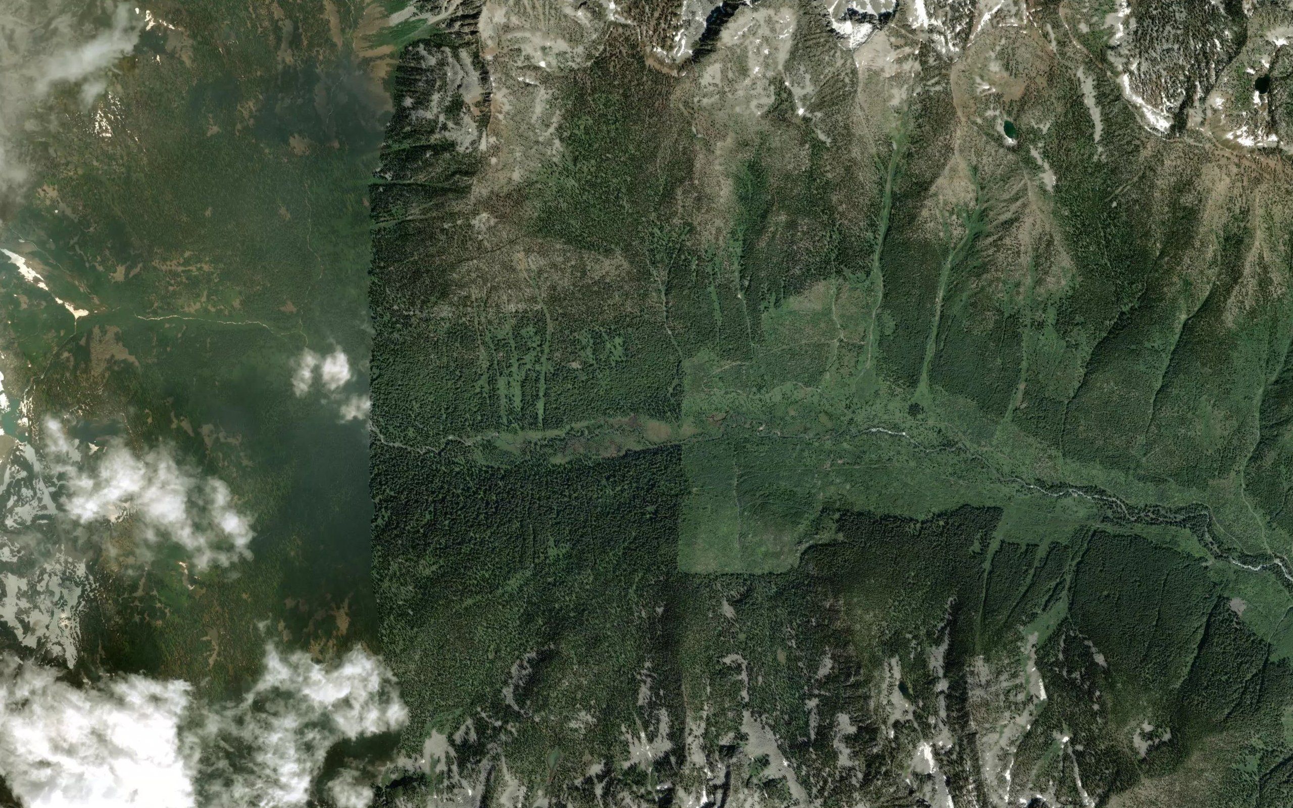 Olson Creek
