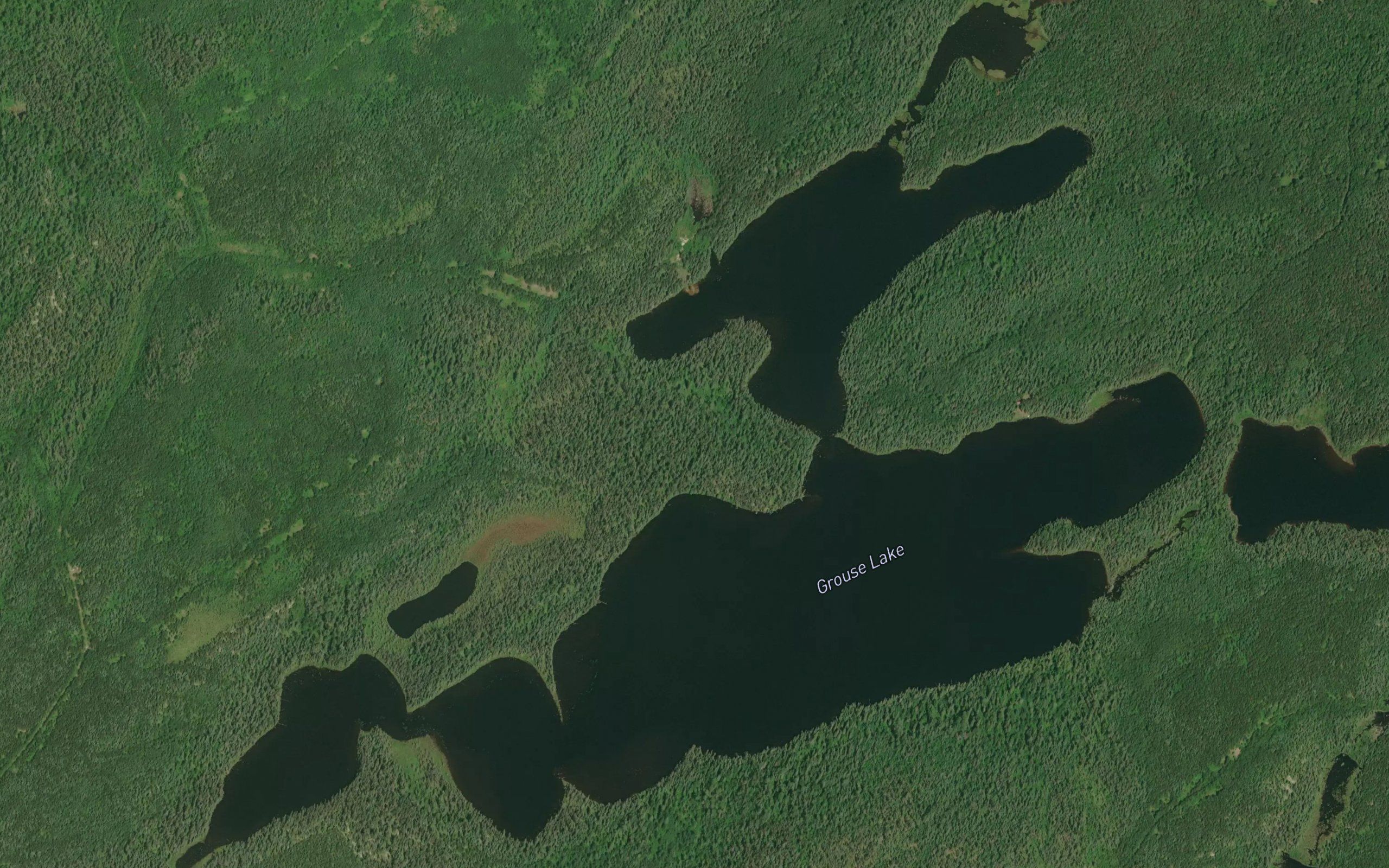 Grouse Lake