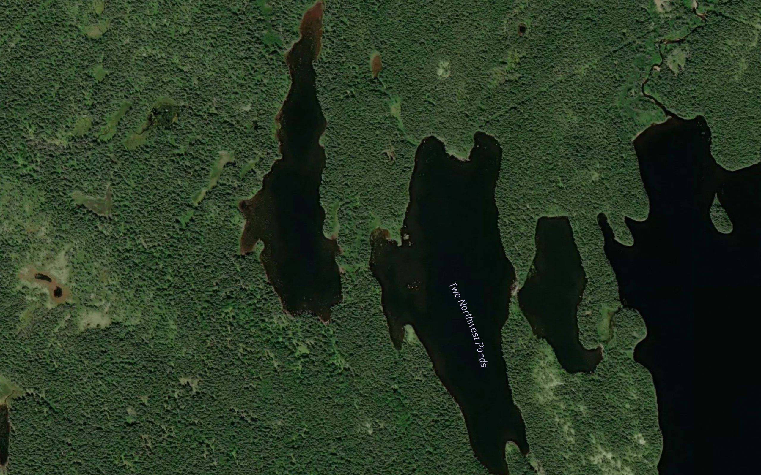 Two Northwest Ponds