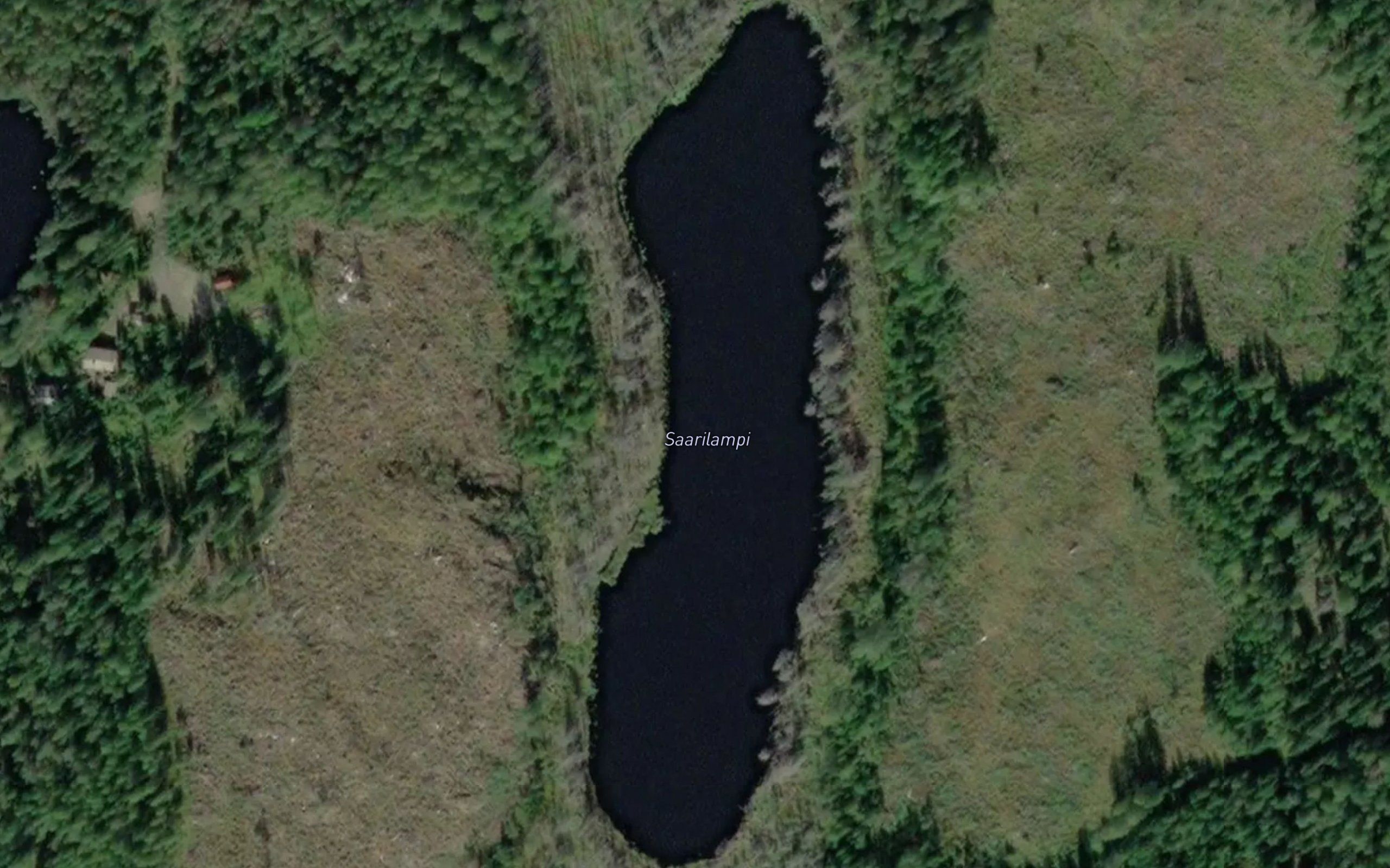 Saarilampi