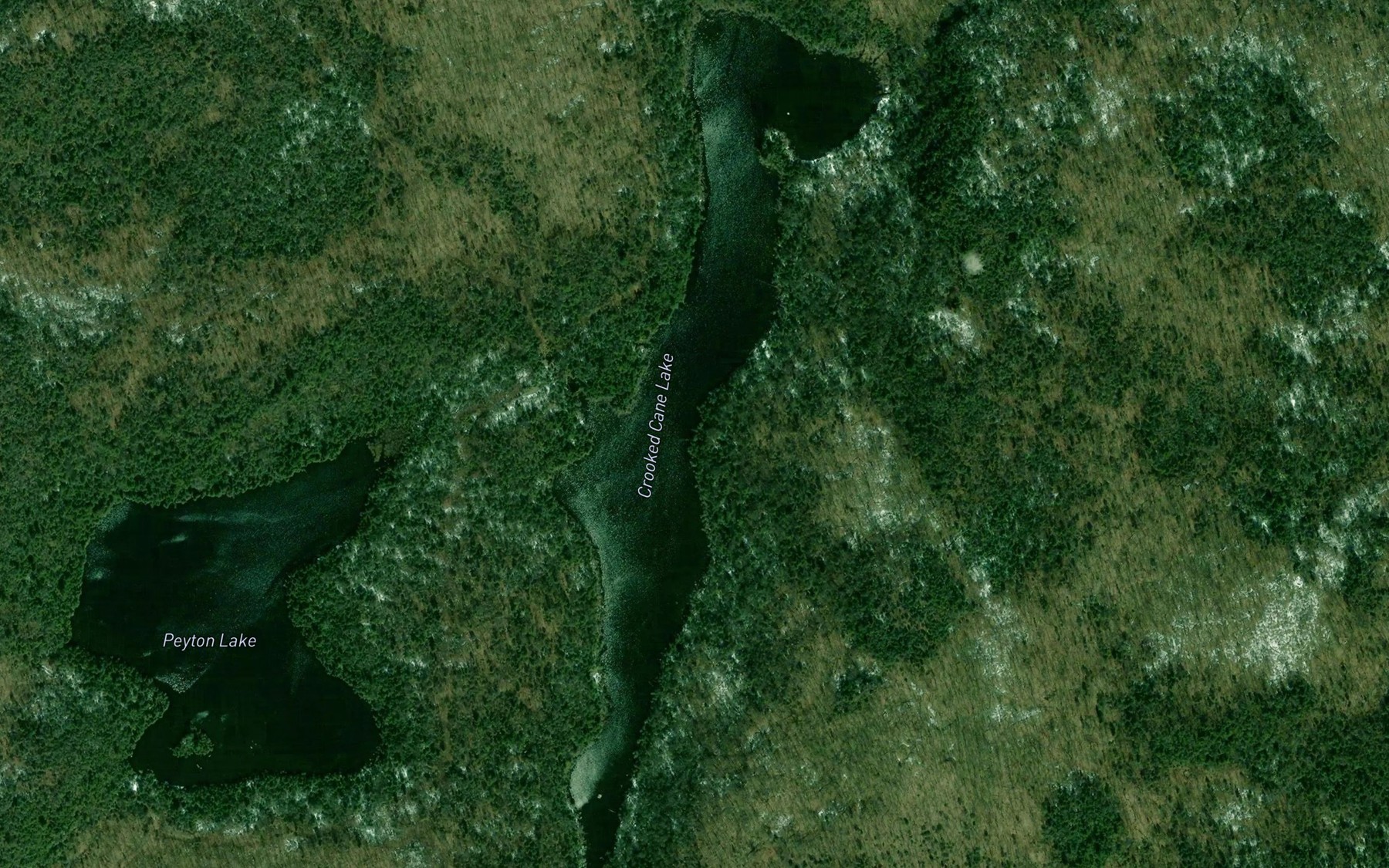 Satellite map of the Crooked Cane Lake
