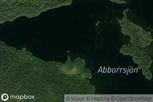 Abborrsjaure