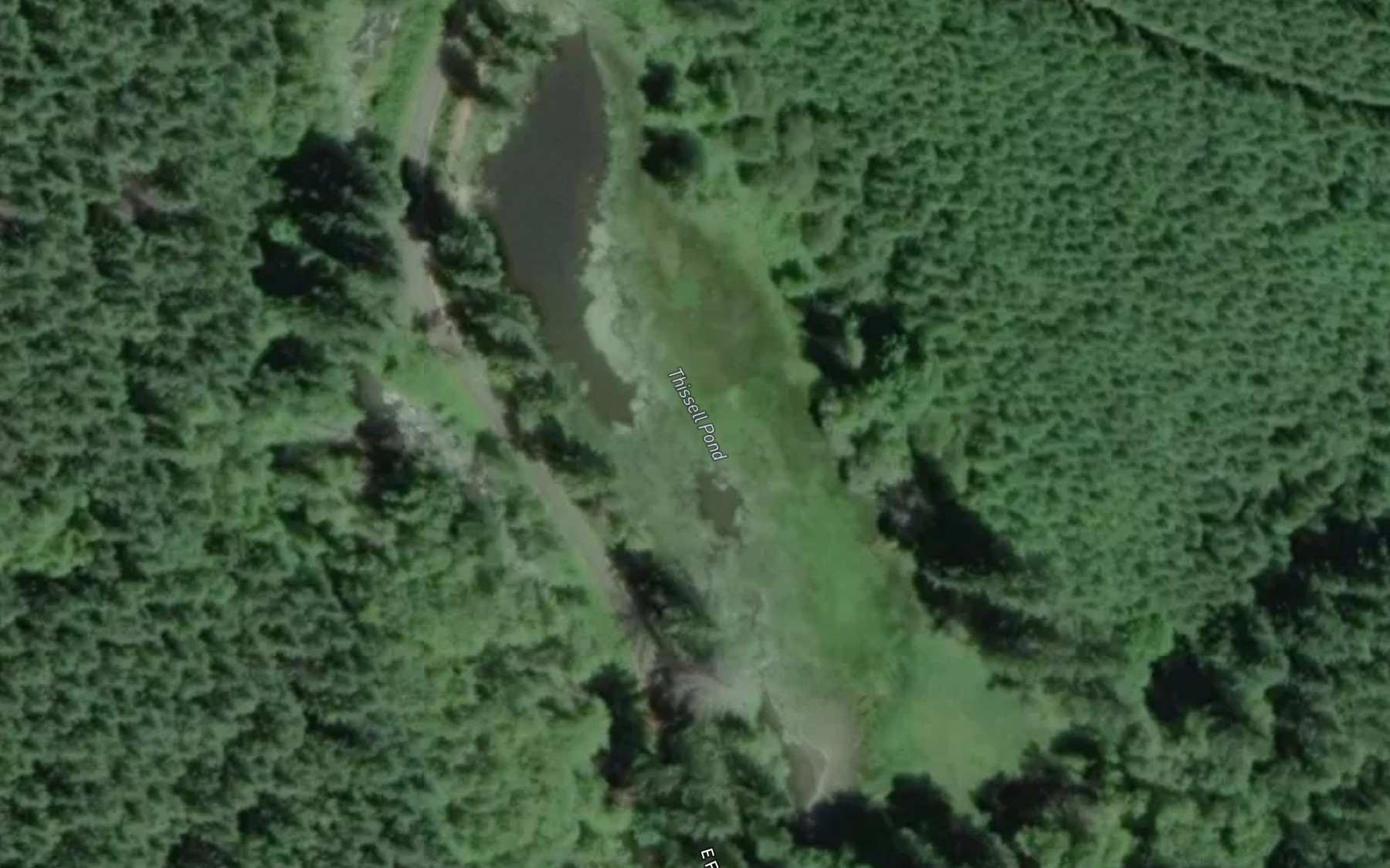Satellite map of the Thissell Pond