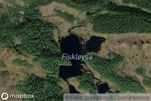 Fiskloysa