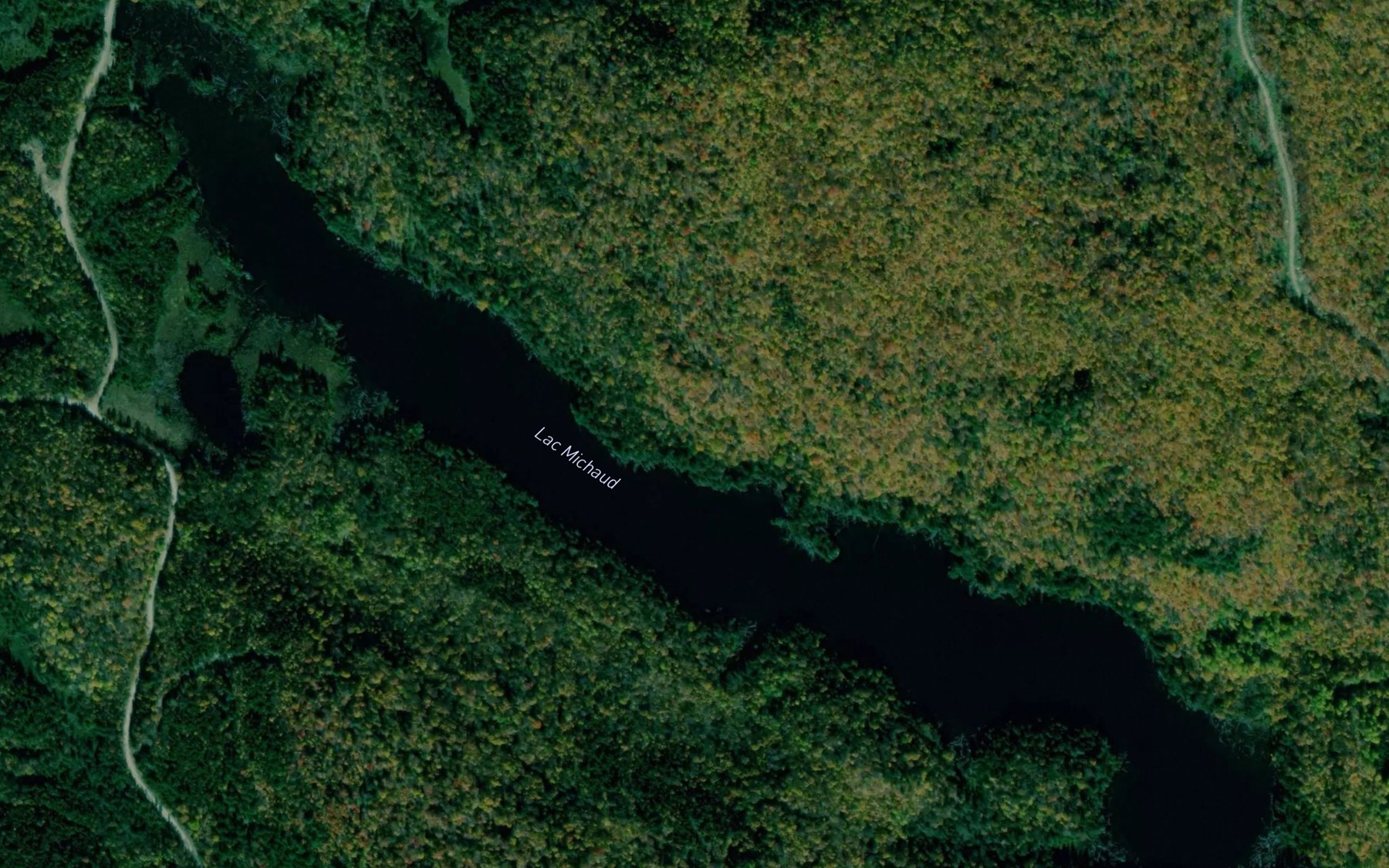 Satellite map of the Lac Michaud