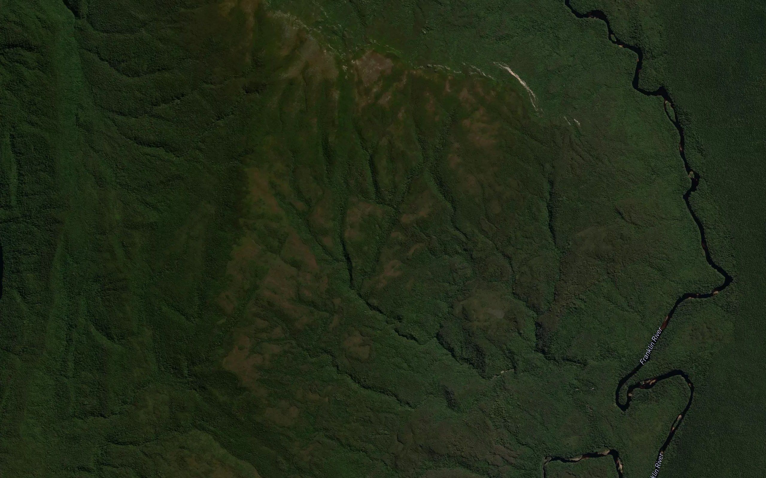 Forester Rivulet