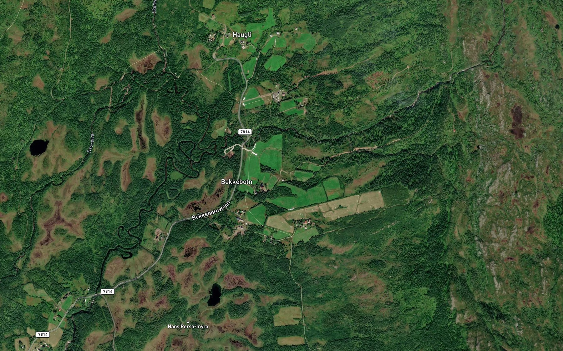 Satellite map of the Lodalselva