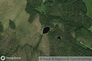 Ylainen Lempaatlampi