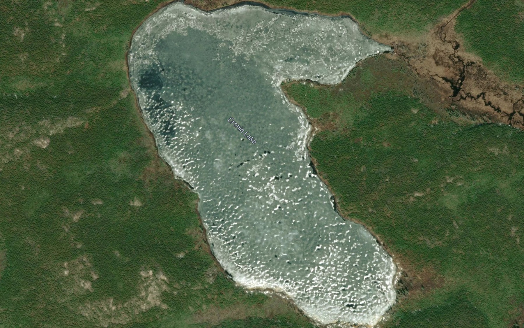 Satellite map of the Cronin Lake