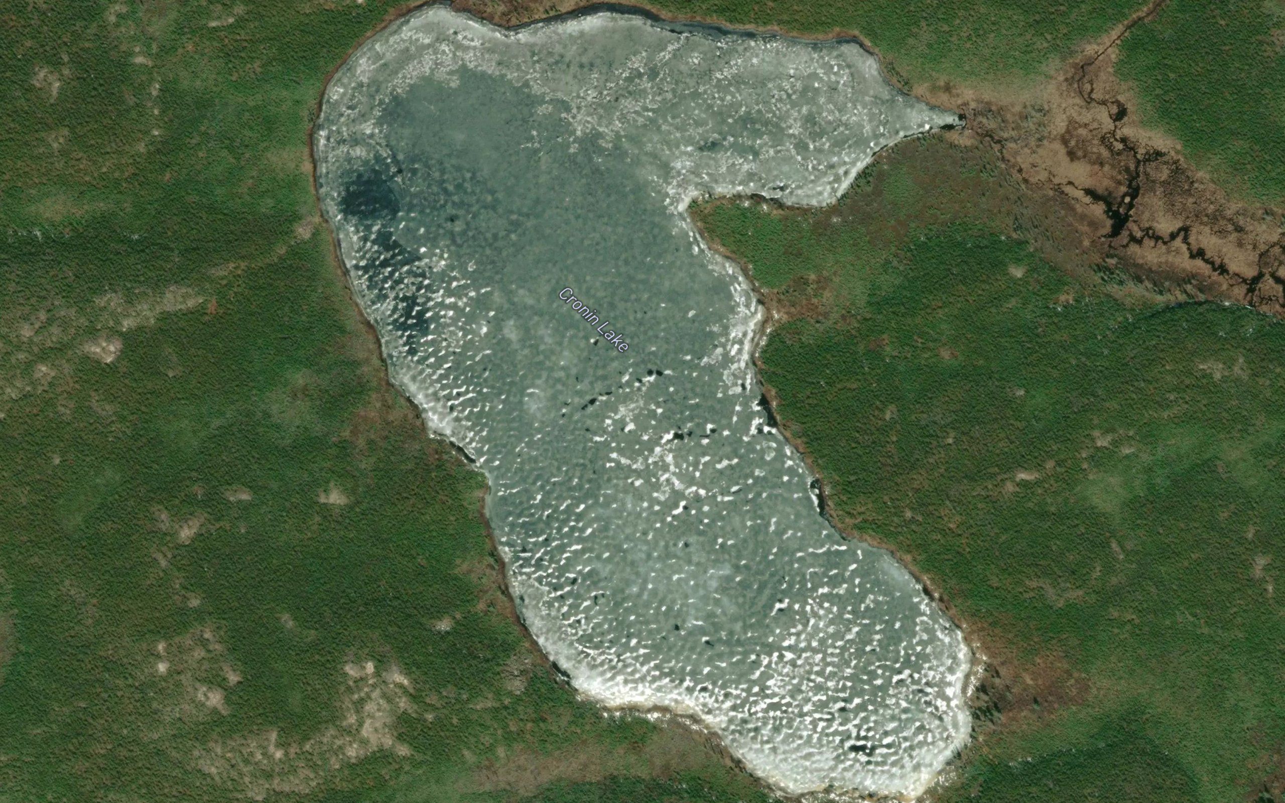 Cronin Lake