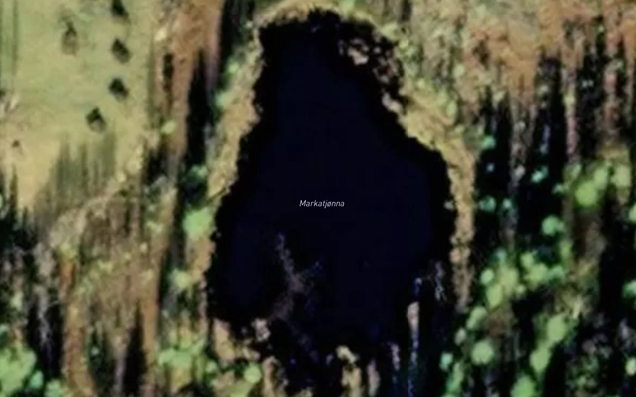 Markatjorna