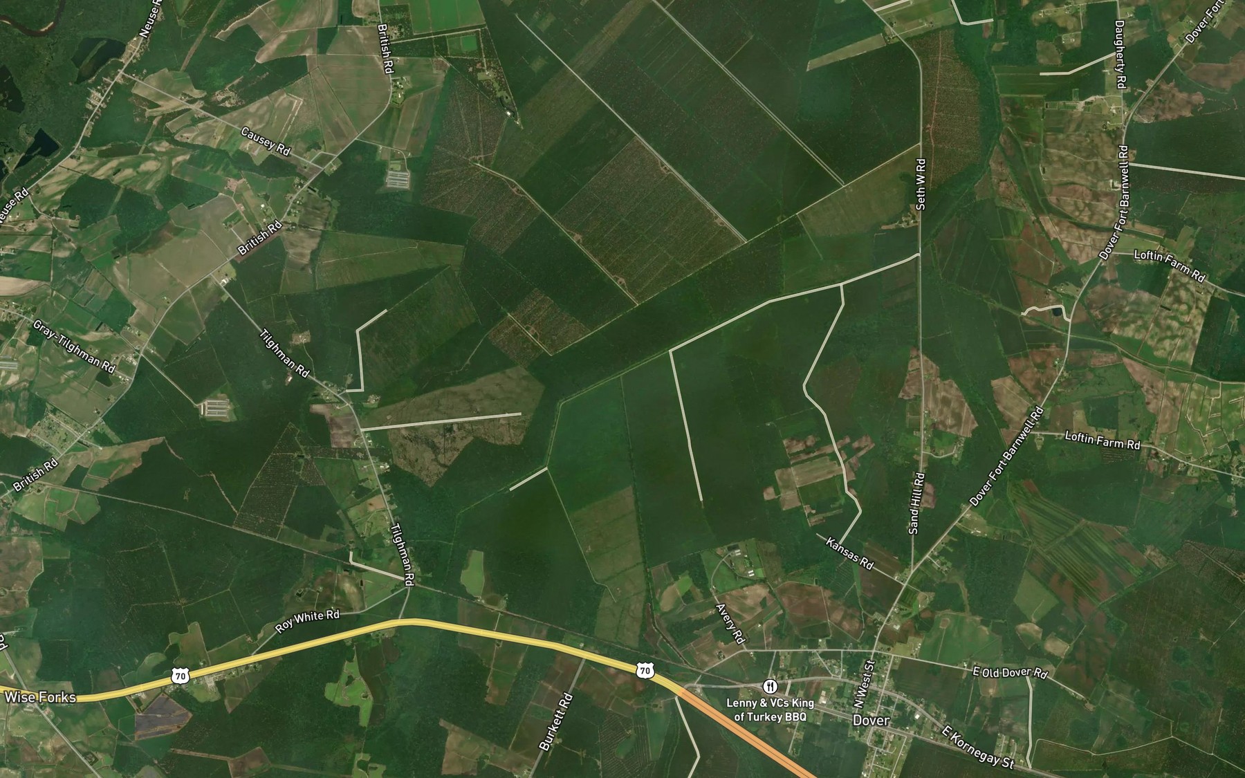 Satellite map of the Gum Swamp