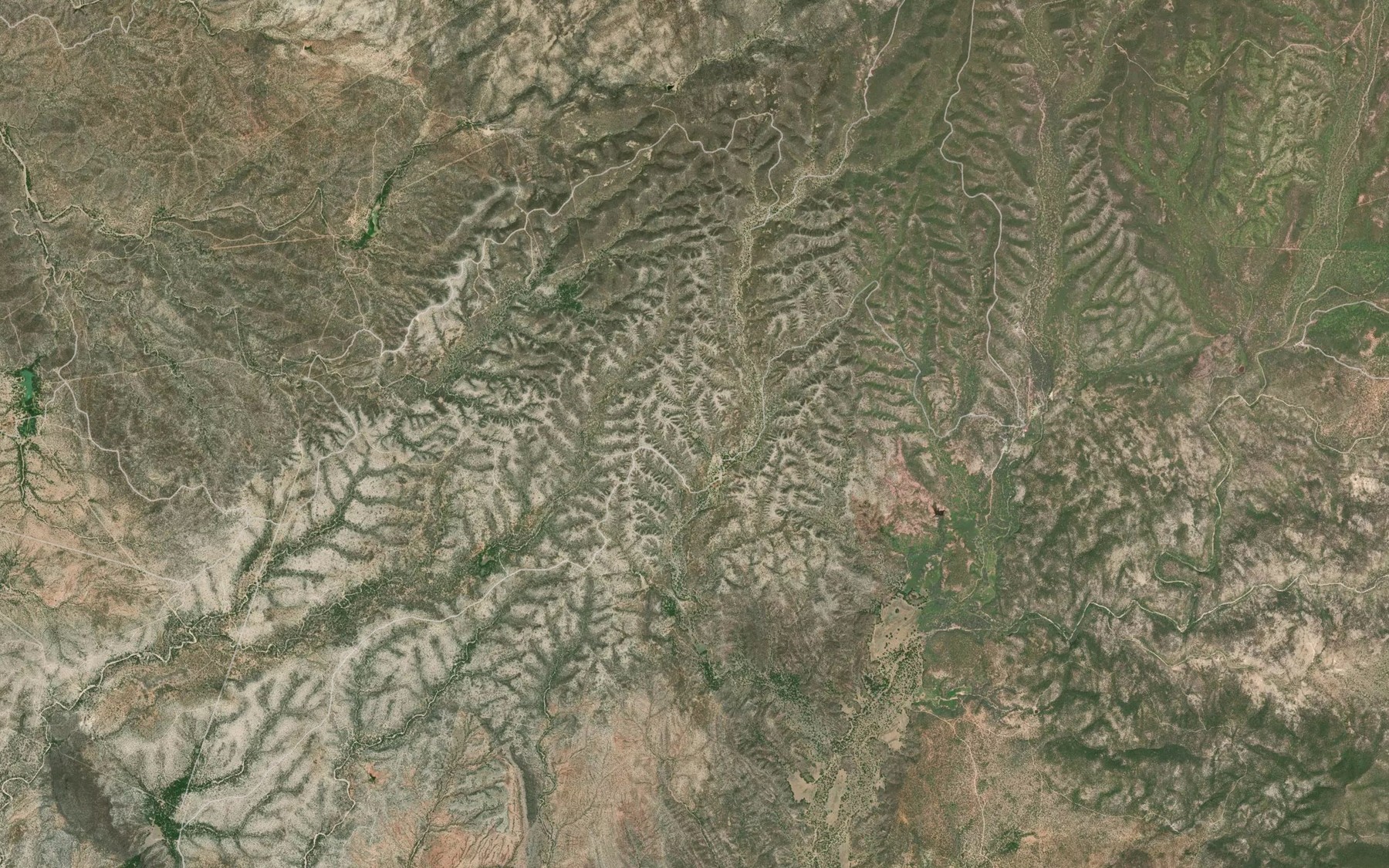 Satellite map of the La Palma