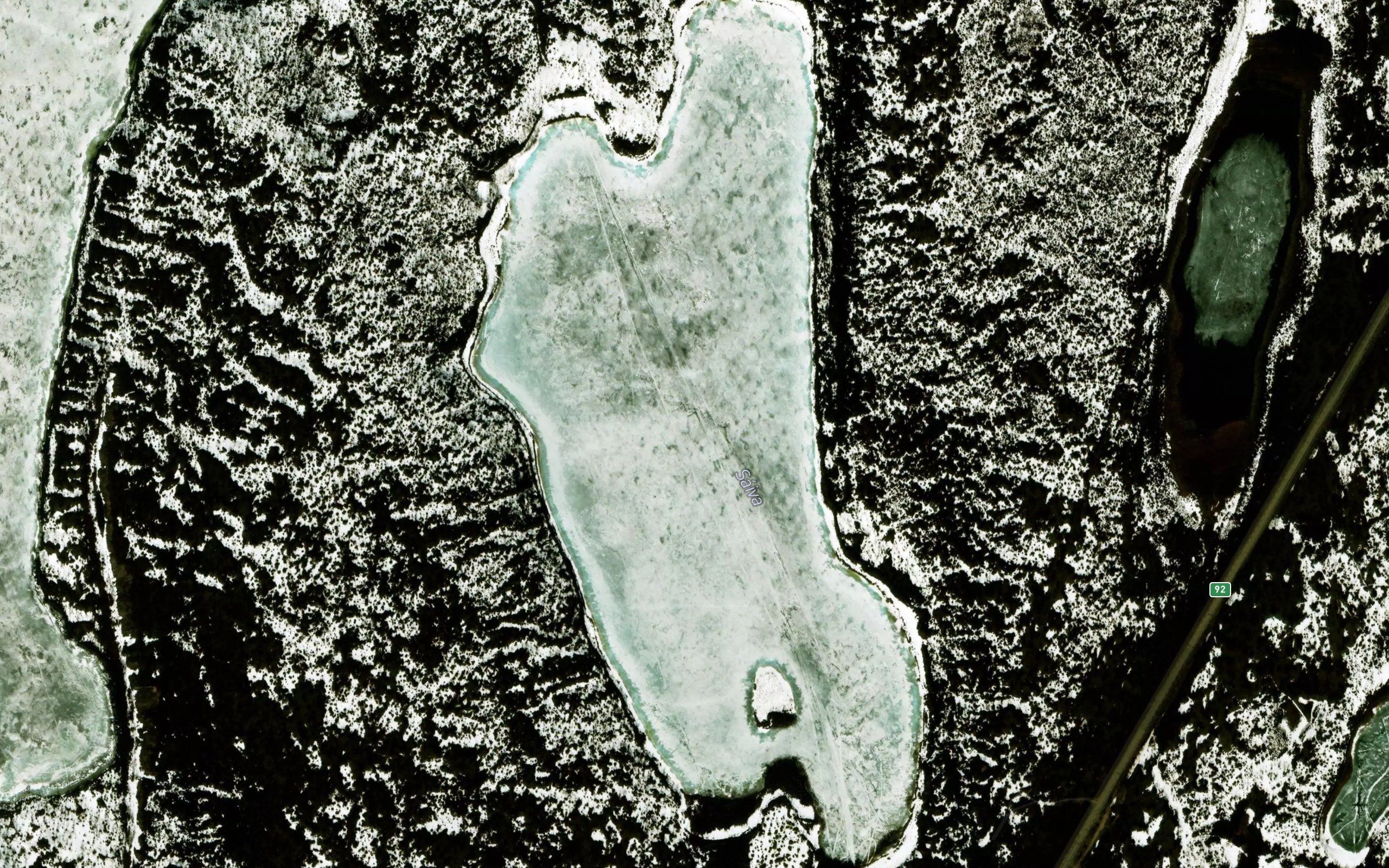 Saiva
