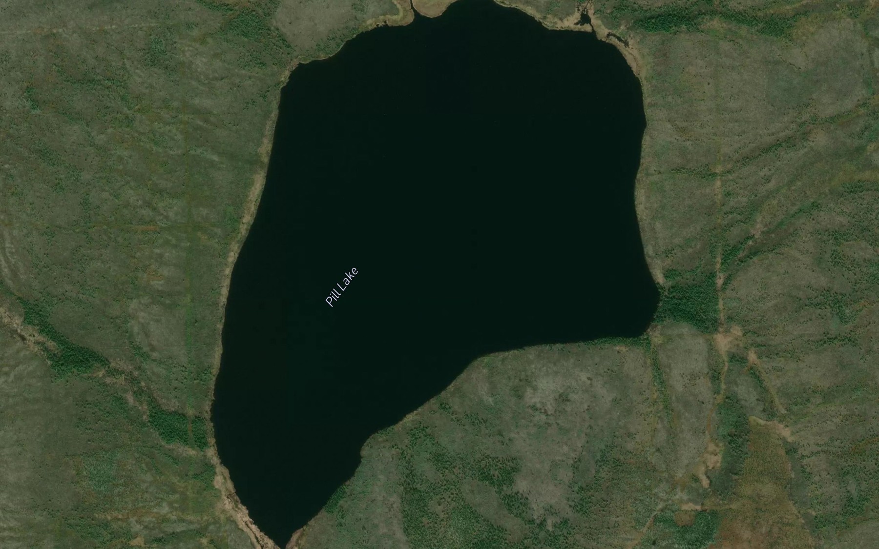 Satellite map of the Pill Lake