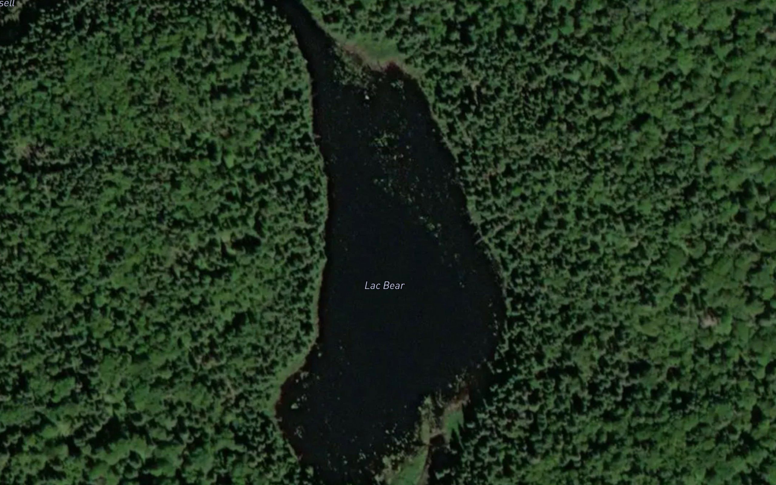 Lac Bear