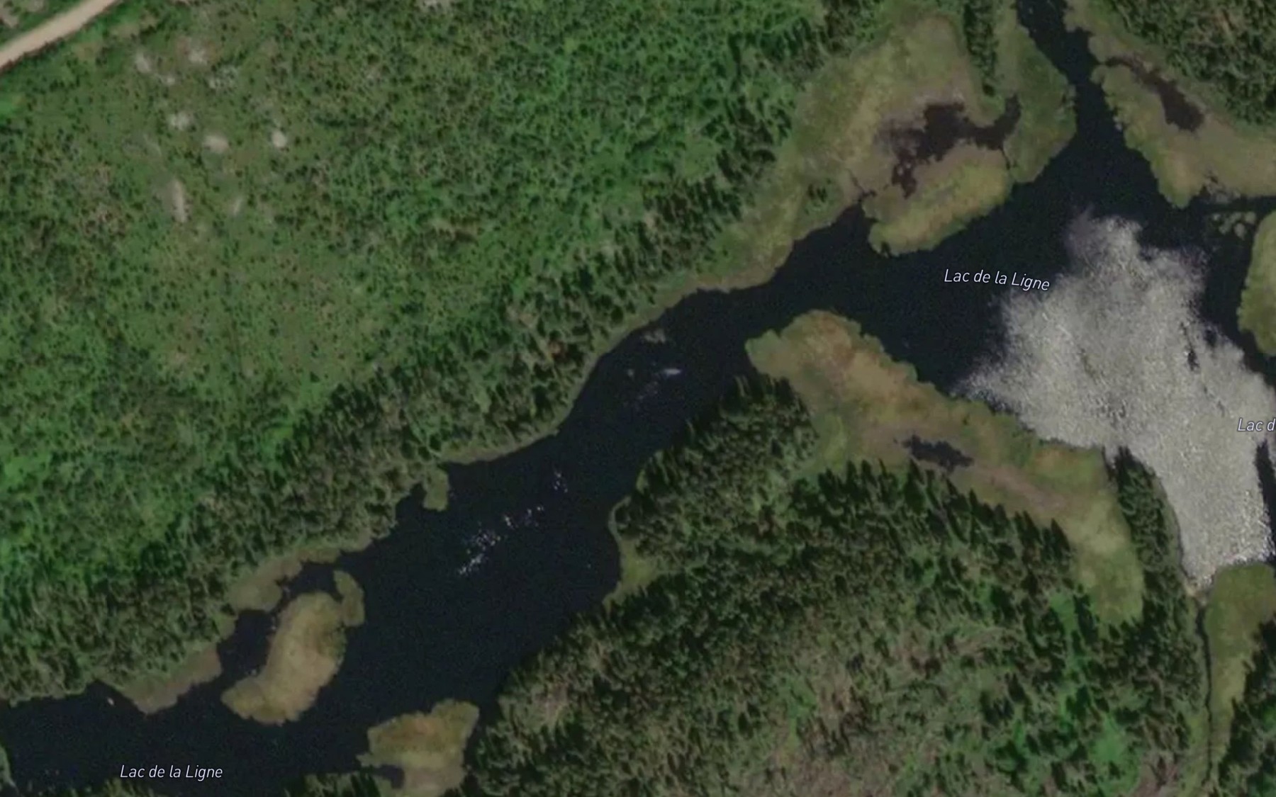 Satellite map of the Lac de la Ligne