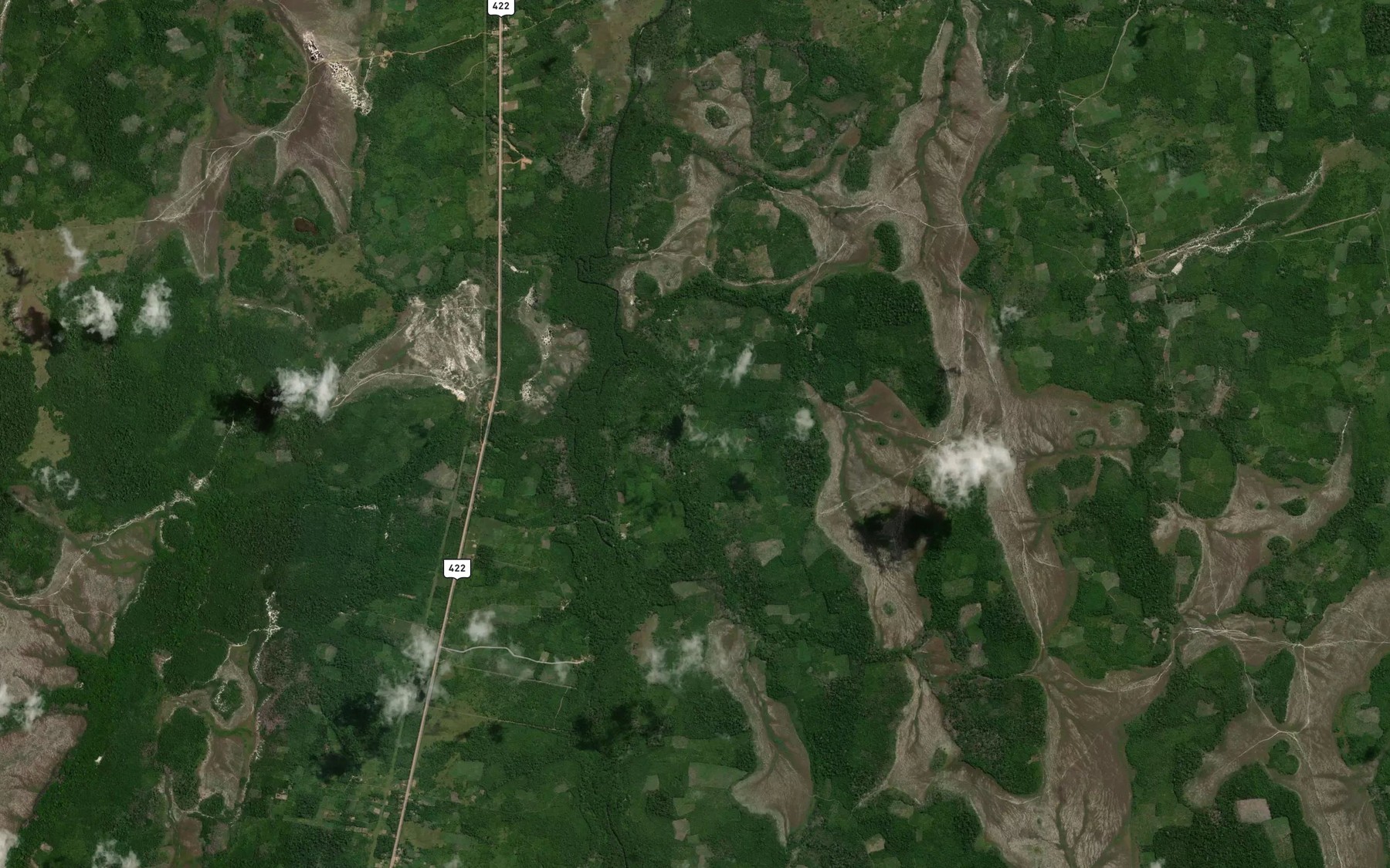 Satellite map of the Rio Anauera