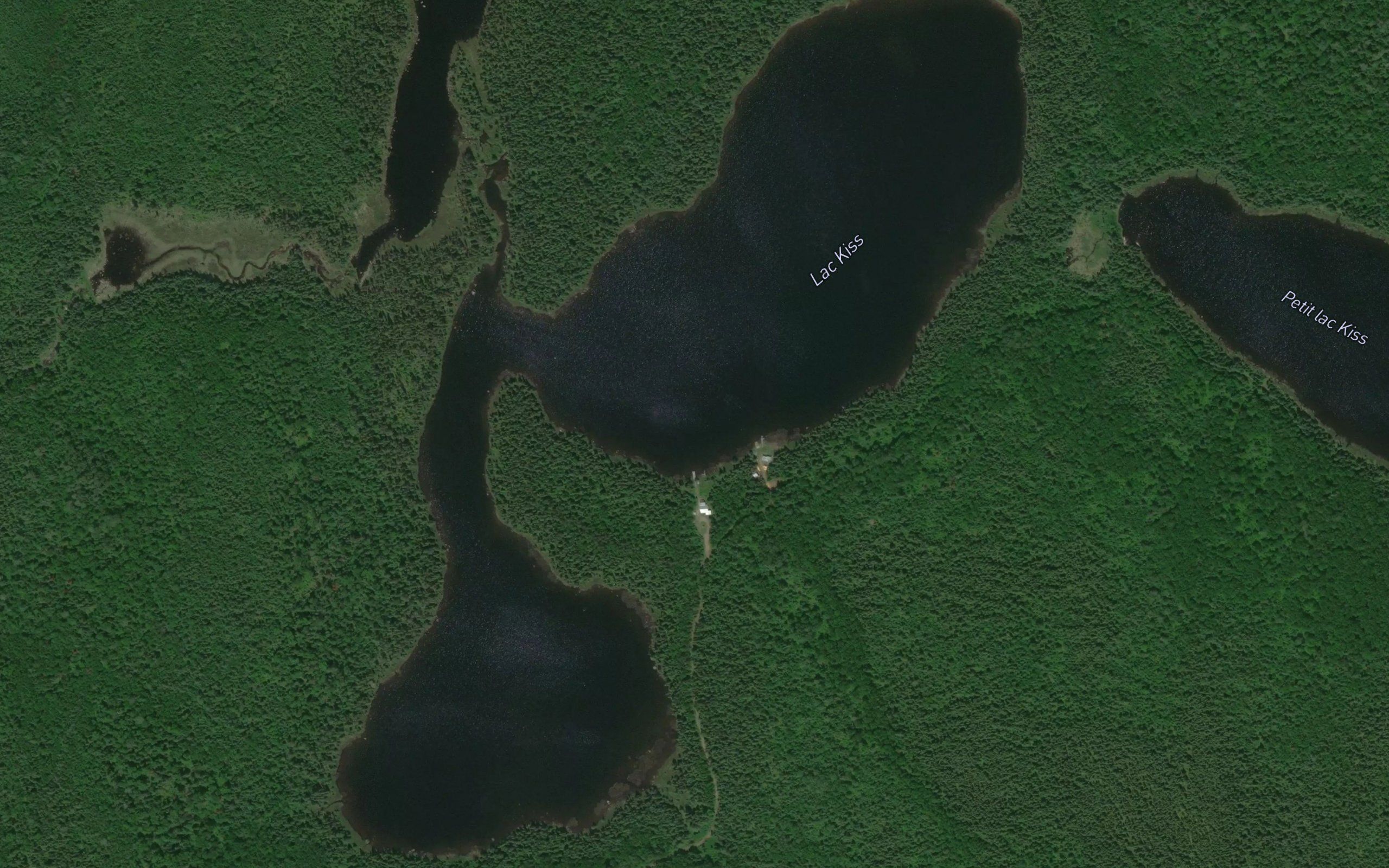 Lac Kiss